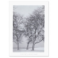 Snow Blown Trees 5" x 7" Classic Card No. 5037