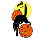 Halloween address labels - black cat