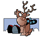 Christmas Holiday and Christmas return address label designs